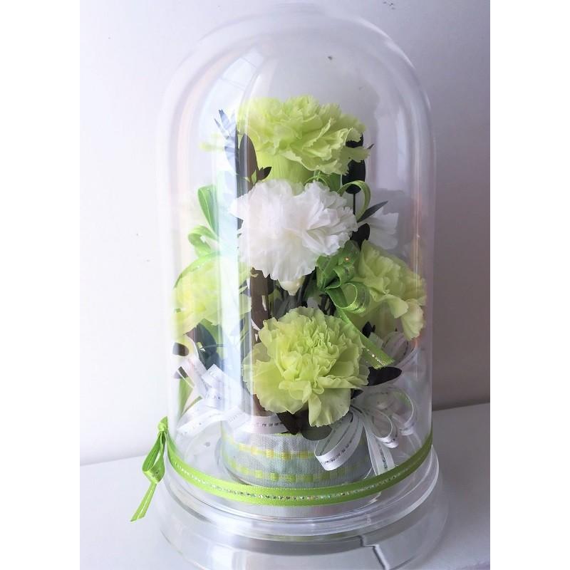 黄緑 ピスタチオカラー カーネーション プリザーブドフラワー グリーンカーネ ドームアレンジ D553 Chloris Flower 通販 Yahoo ショッピング