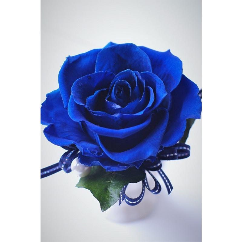 青い薔薇 プリザーブドフラワー 大きな1輪挿し ブルーローズ ケース入り Nn064 Chloris Flower 通販 Yahoo ショッピング