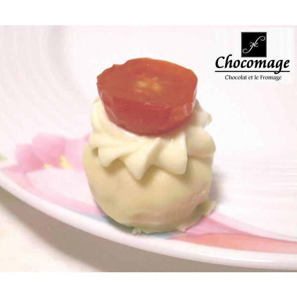 ショコマージュ１０点詰め合わせＡ(レアチーズケーキのボンボンショコラ スイーツ ギフト お菓子 お取り寄せ) |  | 05