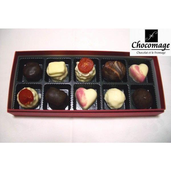 ショコマージュ１０点詰め合わせＢ(レアチーズケーキのボンボンショコラ スイーツ ギフト お菓子 お取り寄せ) | 