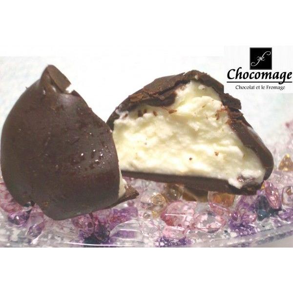 ショコマージュ１０点詰め合わせＢ(レアチーズケーキのボンボンショコラ スイーツ ギフト お菓子 お取り寄せ) |  | 02