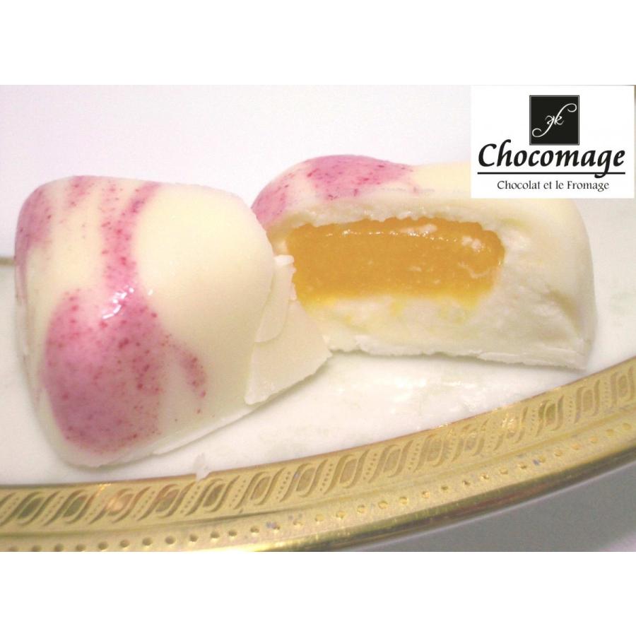 ショコマージュ１０点詰め合わせＢ(レアチーズケーキのボンボンショコラ スイーツ ギフト お菓子 お取り寄せ) |  | 04