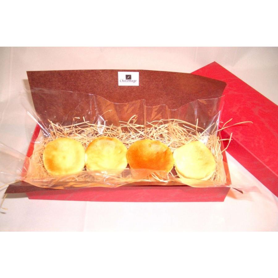 新食感 ガトーフロマージュ（6個入） | 