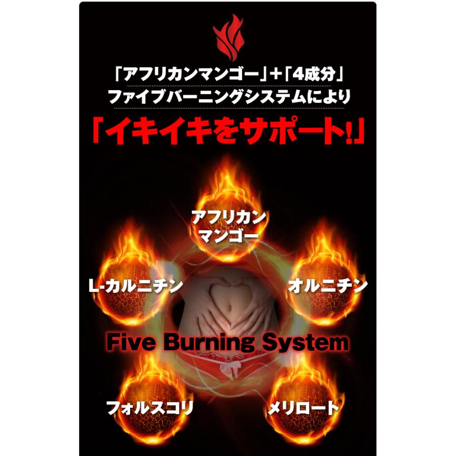 ミリオンバーニング スリムサポートサプリメント アフリカンマンゴー