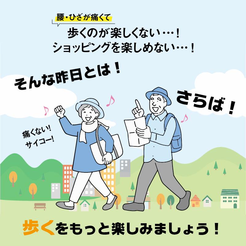 腰らくインソール シューフィッター 整体師が共同開発 腰痛対策特化型