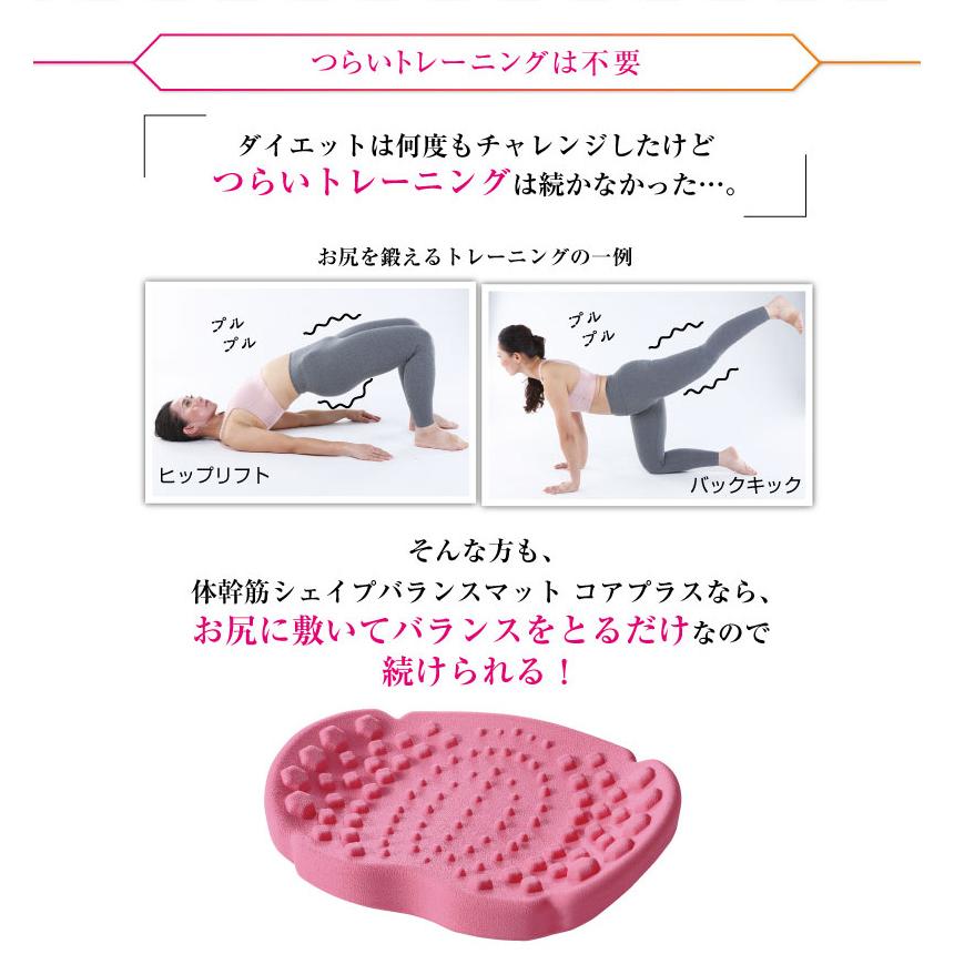 PosfiT◇体幹・美姿勢トレーニング「ハイブリッドコア」マットブラック 新同品 i158s11-hybridcore2.jpg