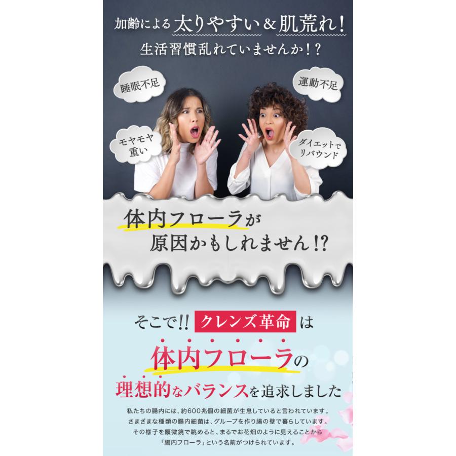 クレンズ革命【激安お得3ヶ月分】乳酸菌 腸活 ダイエット サプリ 5兆個