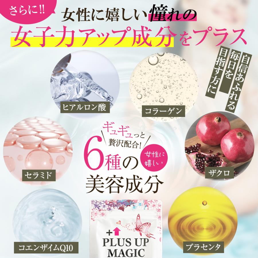バスト 女子力 魅力 アップ サプリメント【プラスアップマジック