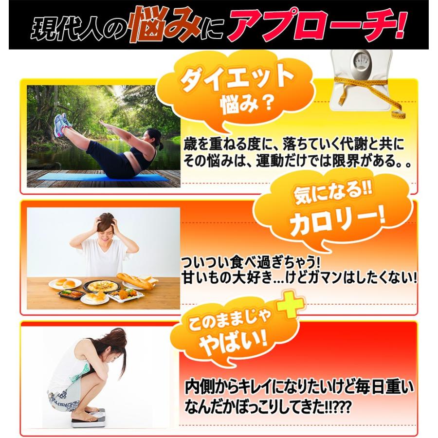 とりあえずコレ!お得3袋 カロリーカット ダイエット サプリメント