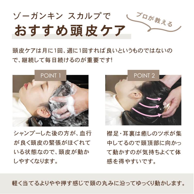 ゾーガンキンスカルプ EMS 低周波 ヘッドスパ 頭皮ブラシ 頭皮 ゾーガンキンスカルプ EMS 低周波 ヘッドスパ 頭皮ブラシ 頭皮