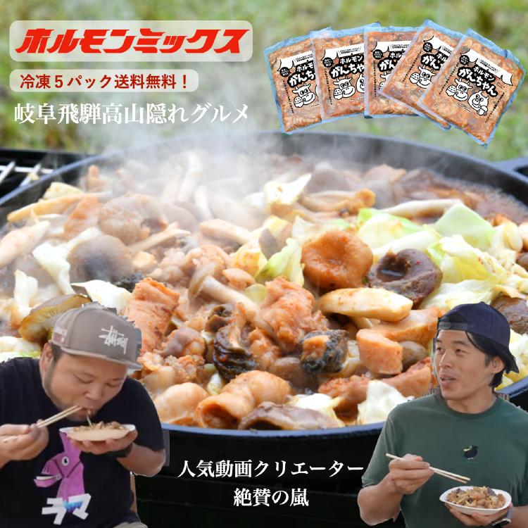 ホルモン ミックス【ホルモンがんちゃん】300g×5袋 真空冷凍 送料無料