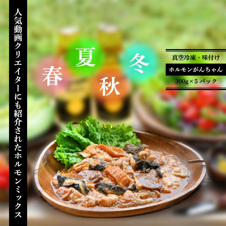 ホルモン ミックス【ホルモンがんちゃん】300g×5袋 真空冷凍 送料無料