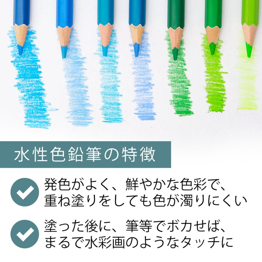 色鉛筆 50色 セット 色鉛筆画の描き方 油性色鉛筆 収納ケース付 鉛筆削り付 塗り絵 Iro Enpitsu Chobe S 通販 Yahoo ショッピング