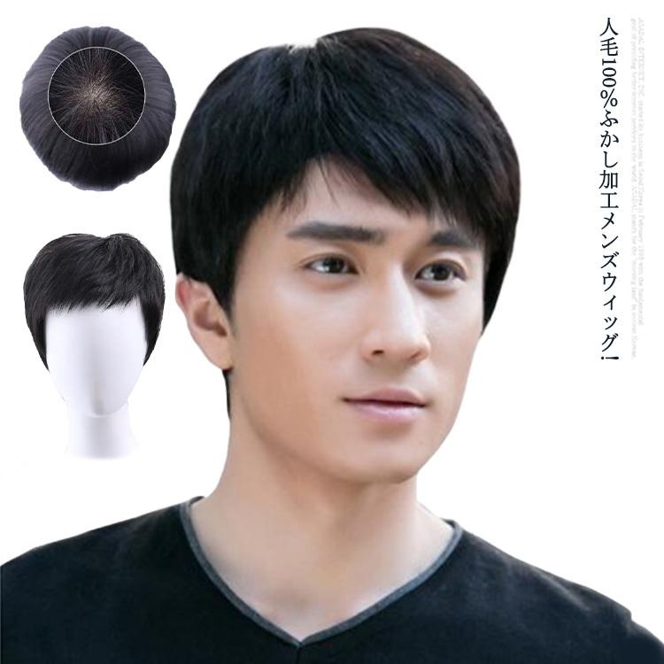 人毛100 ウイッグ メンズ フルウィッグ 男性 かつら 自然 ナチュラル カツラ 黒髪 短髪 ビジネス用 医療用 白髪隠し 人毛 ショート ボリ