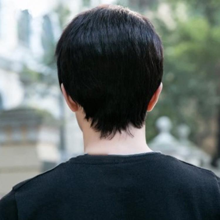 人毛100 ウイッグ メンズ フルウィッグ 男性 かつら 自然 ナチュラル カツラ 黒髪 短髪 ビジネス用 医療用 白髪隠し 人毛 ショート ボリ