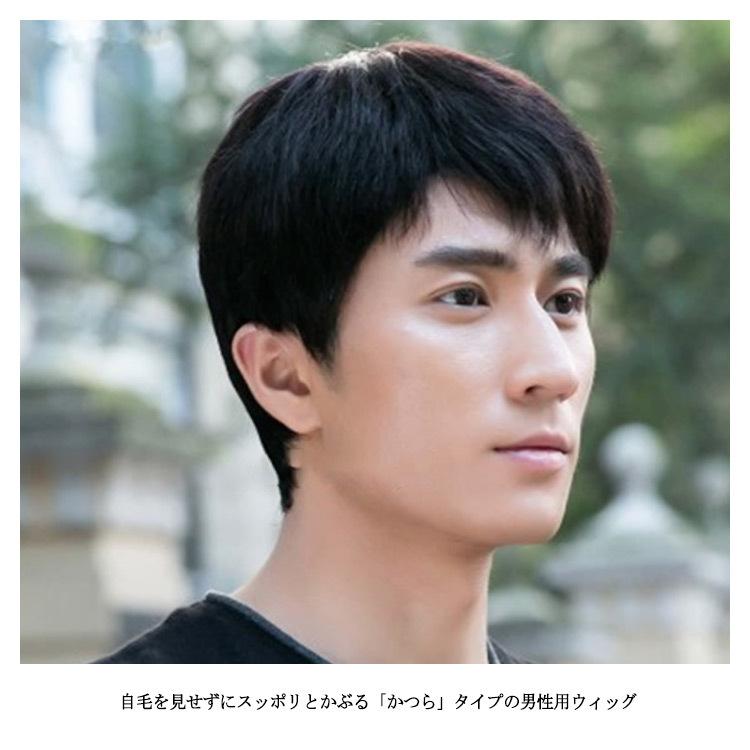 人毛100 ウイッグ メンズ フルウィッグ 男性 かつら 自然 ナチュラル カツラ 黒髪 短髪 ビジネス用 医療用 白髪隠し 人毛 ショート ボリ