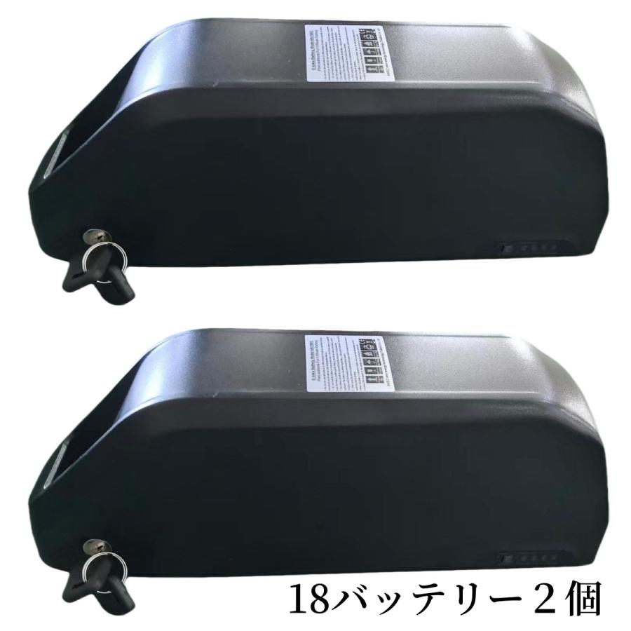 2本セット　新品　48v 14Ah 電動自転車　バッテリー　大容量　ひねちゃ E'KEI F9 バッテリー2個付 一般原動機付自転車 モペッド フル
