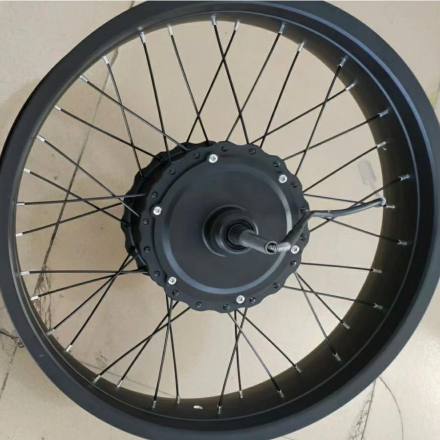 Shengmilo MX21 Mx20対応 20インチ スポークホイール モーター付き一式