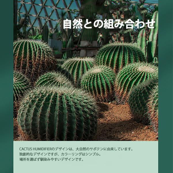 オープニング 大放出セール サボテン照明 その他