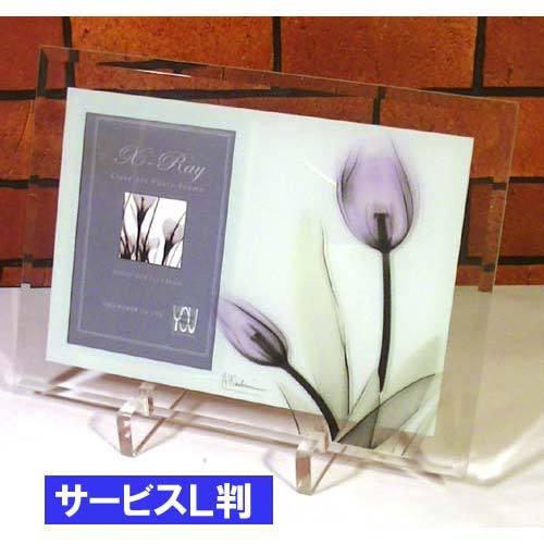 押し花額 36号クリアモダン ガラスフレーム Www Ziakkas Group Gr