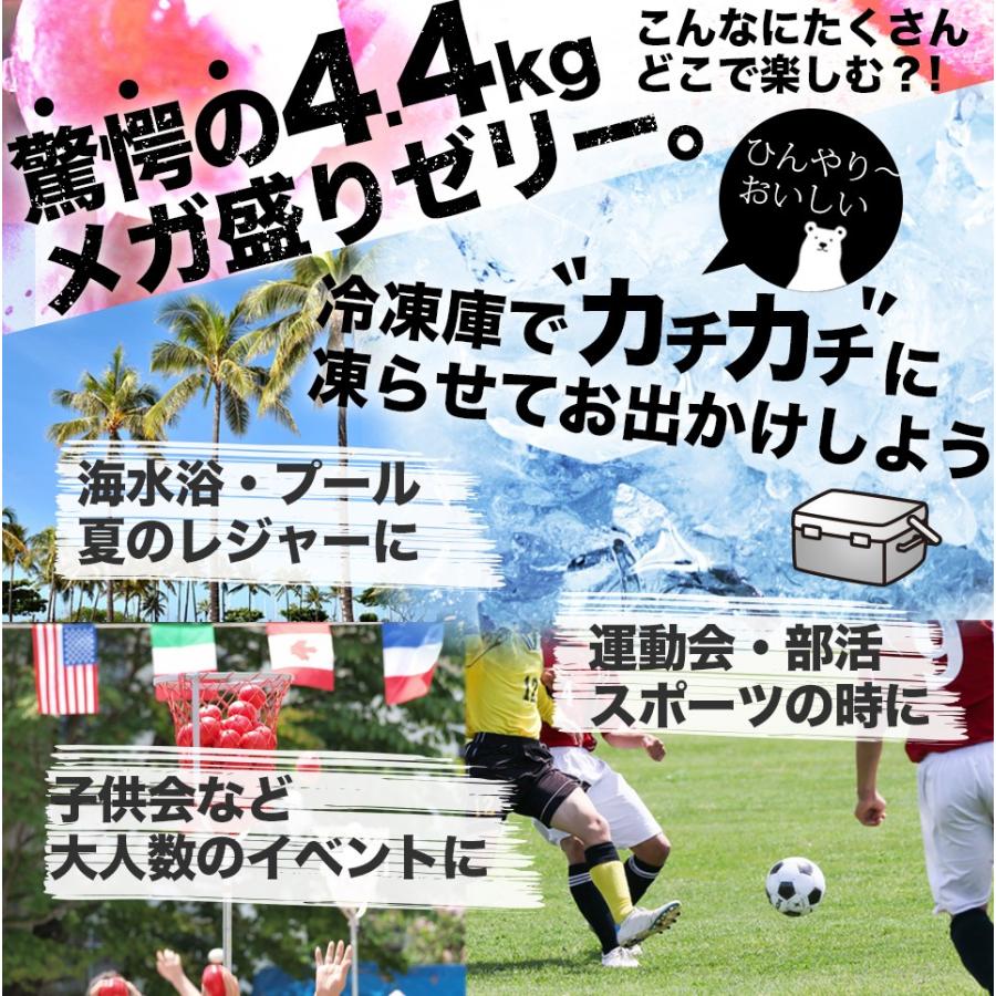 こんにゃく スティックゼリー グレープ味 ピーチ味 4 4kg 送料無料 メガ盛り こんにゃくゼリー ぶどう もも Jelly Big ショコドーネ 通販 Yahoo ショッピング