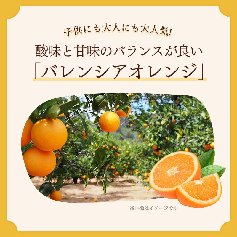 チョコレート フルーツ オ ショコラ オレンジ250g レモン2g ２種セット ドライフルーツ チョコがけ Sc119 ショコドーネ 通販 Yahoo ショッピング