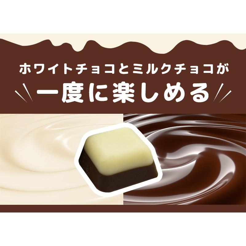 ミルクチョコレート 訳あり 【たっぷり訳ありチョコレート 選べる2個セット】ミルクチョコ ホワイトチョコ 一口サイズ 大容量 送料無料 父の日 |  | 03