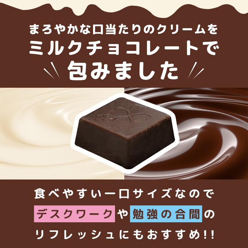 ミルクチョコレート 訳あり 【たっぷり訳ありチョコレート 選べる2個セット】ミルクチョコ ホワイトチョコ 一口サイズ 大容量 送料無料｜chocodone｜05