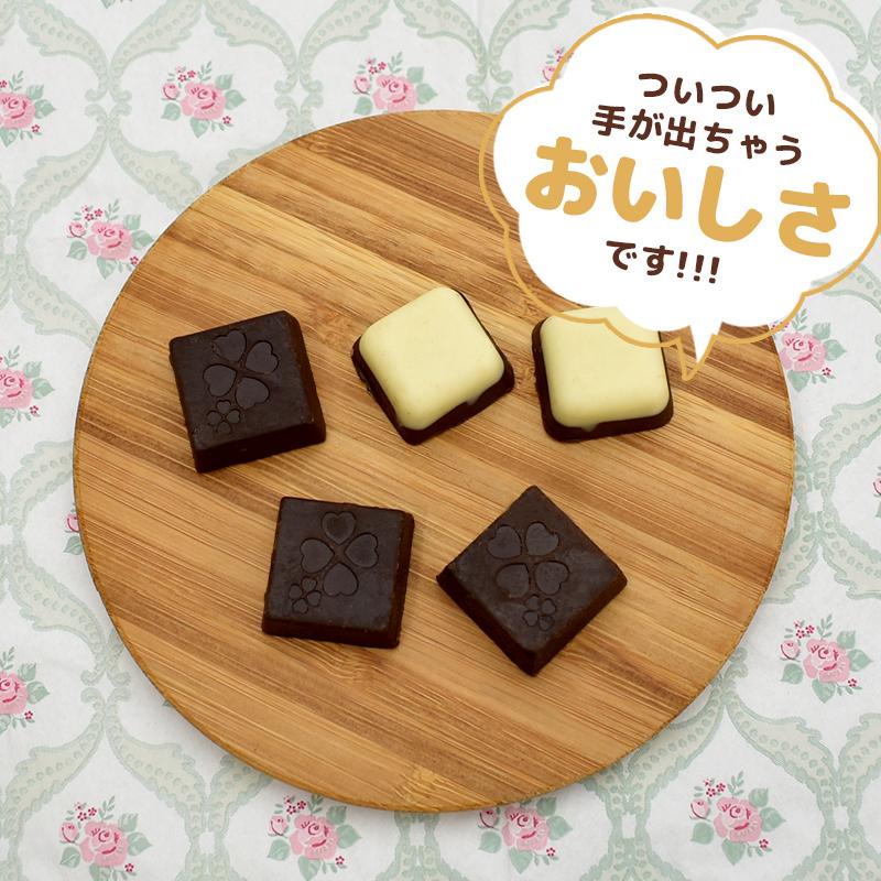 ミルクチョコレート 訳あり 【たっぷり訳ありチョコレート 選べる2個セット】ミルクチョコ ホワイトチョコ 一口サイズ 大容量 送料無料｜chocodone｜06