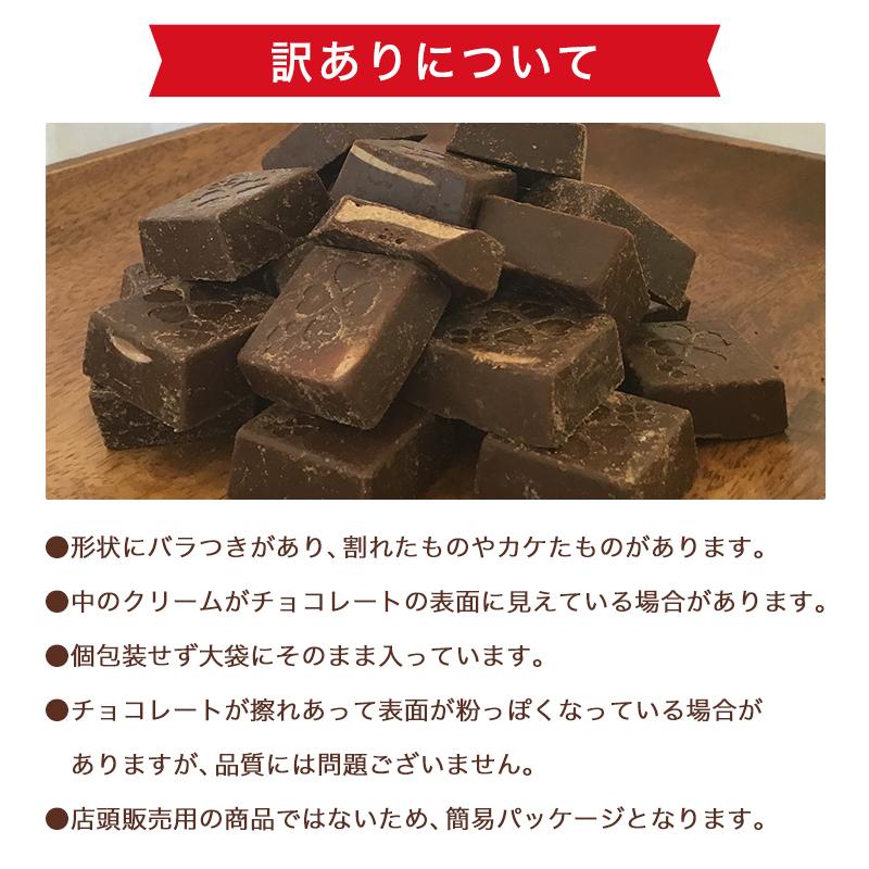 ミルクチョコレート 訳あり 【たっぷり訳ありチョコレート 選べる2個セット】ミルクチョコ ホワイトチョコ 一口サイズ 大容量 送料無料｜chocodone｜09