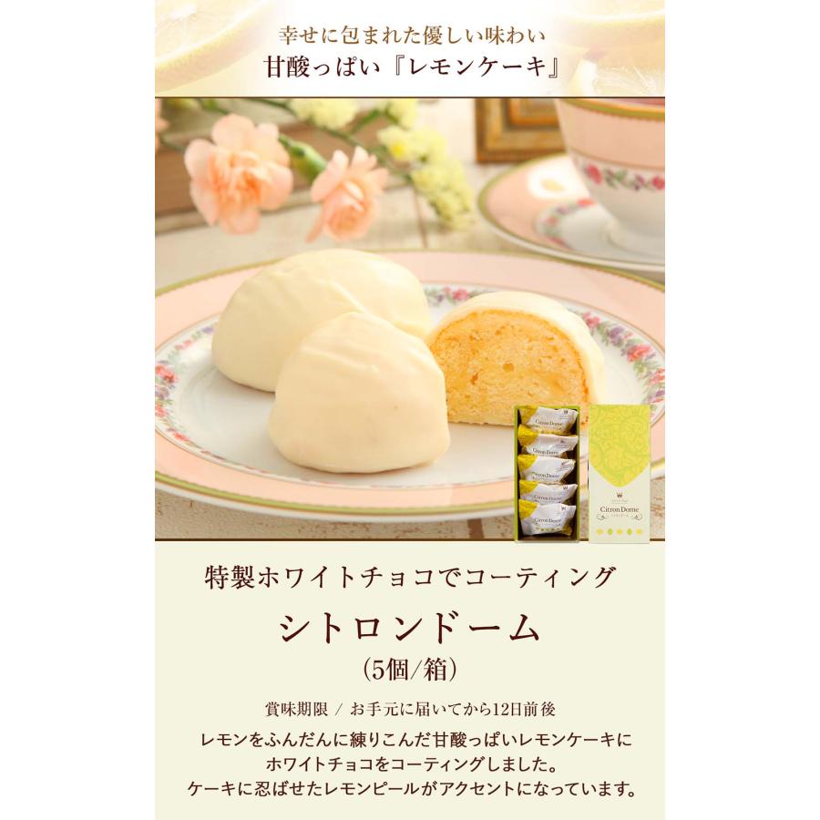 母の日 シトロンドーム(5個/箱) サロンドロワイヤル チョコレート 手土産 個包装 レモンケーキ 焼菓子 スイーツ お菓子 |  | 02