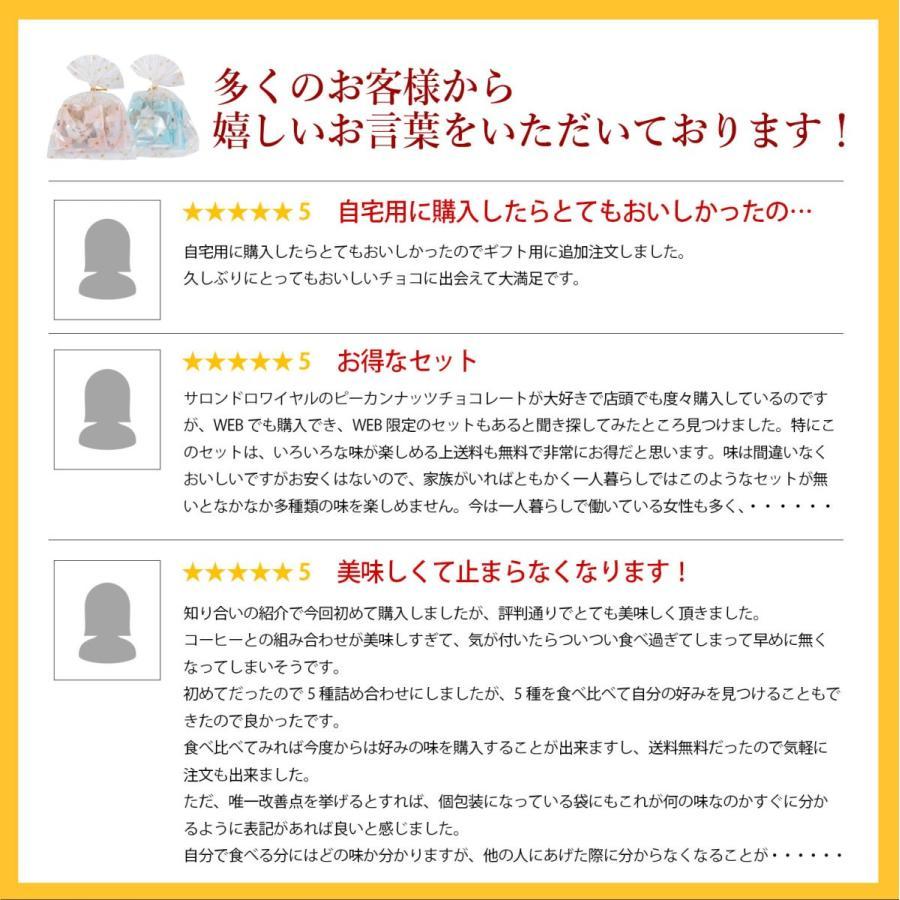 送料無料 プチギフトピーカン5種セット(240g) サロンドロワイヤル チョコレート ピーカンナッツ 詰め合わせ 個包装 | サロンドロワイヤル | 11