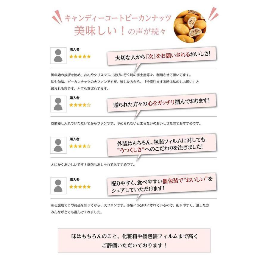 ラ・ラ・ラ ピーカン＆抹茶ピーカン(320g/箱) サロンドロワイヤル チョコレート ピーカンナッツ のし対応 ギフト 詰め合わせ 手土産 個包装 | サロンドロワイヤル | 06