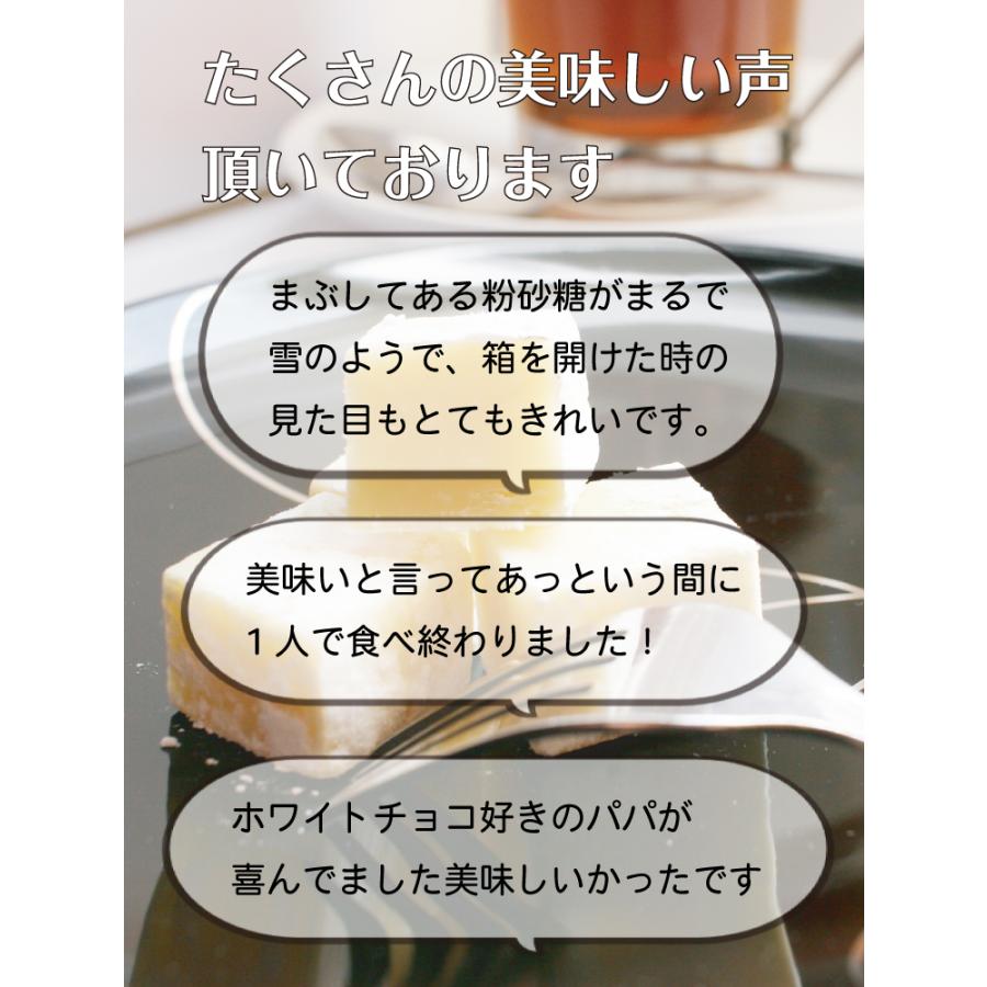バレンタイン チョコ 2026 バレンタイン チョコ 2026 ホワイト 生チョコレート 16粒入り ギフト向けパッケージ スイーツ ラッピング  お菓子 gift 冬季限定 white