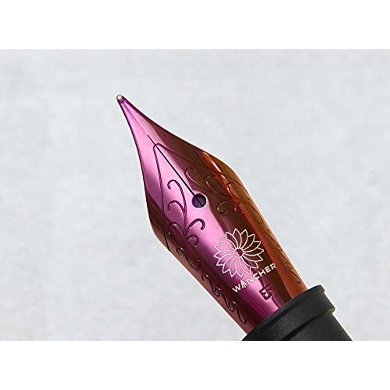 Wancher 交換用ペン先 6 Jowoニブ ラセットブラウン ワンチャー万年筆 ドイツ Jowo社製 万年筆用 Ef 極細 Unkklmulrs Superopticas Com