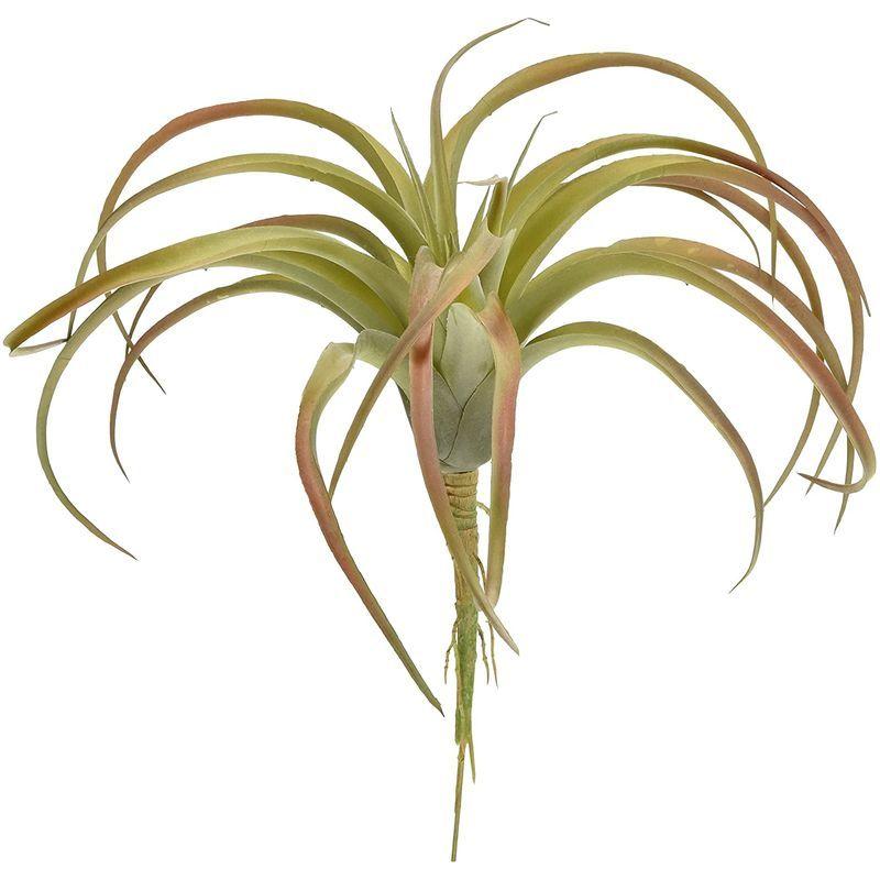 魅力的な価格 園芸用品 丸和貿易 フェイクプランツ エアプランツ L Www Threeriversofs Com