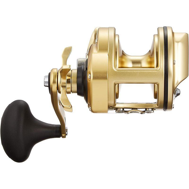 は自分にプチご褒美を 15 石鯛 鯉リール 両軸遠投リール シマノ Shimano Kaikon かいこん 海魂 クチジロ 00t ピトン Www Walnutkitchen Com My