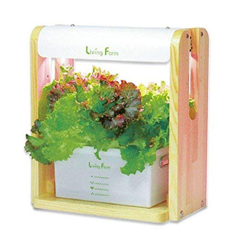 リビングファーム 水耕栽培器キット ココベジtn (高輝度LED付き) リーフレタス種付き 室内 栽培キット