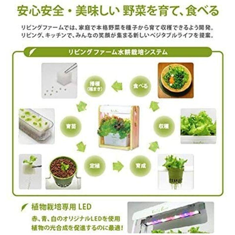 リビングファーム 水耕栽培器キット ココベジtn (高輝度LED付き) リーフレタス種付き 室内 栽培キット 水耕栽培器キット ココベジtn 高輝度LED付き リーフレタス種付き 室内 栽培キット 各1個 1個