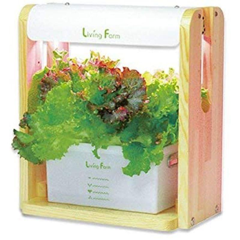 リビングファーム 水耕栽培器キット ココベジtn (高輝度LED付き) リーフレタス種付き 室内 栽培キット 水耕栽培器キット ココベジtn 高輝度LED付き リーフレタス種付き 室内 栽培キット 各1個 1個