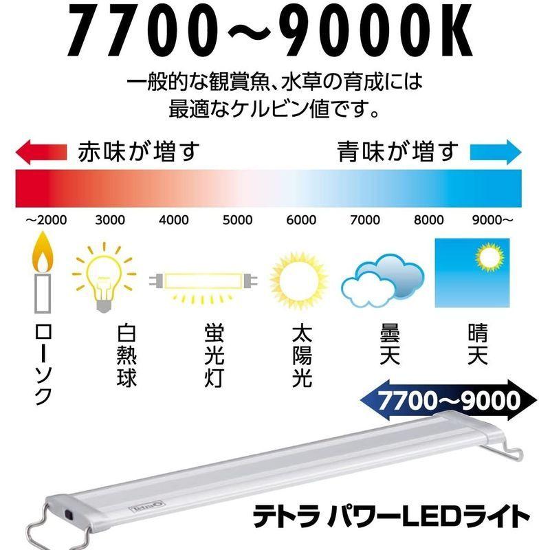 通販 価格比較 テトラ Tetra パワーledライト 60 Chocolatecollection 通販 Yahoo ショッピング 新入荷商品 Web Wdactionfund Org
