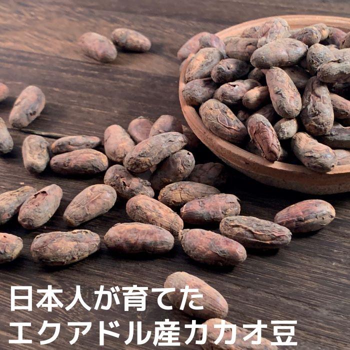 ローステッド カカオ豆 エクアドル産 60ｇ ロースト カカオビーンズ 希少 スーパーフード チョコレート カカオニブ カカオマス 日本人オーナー Ot0001 チョコレートな関係 通販 Yahoo ショッピング