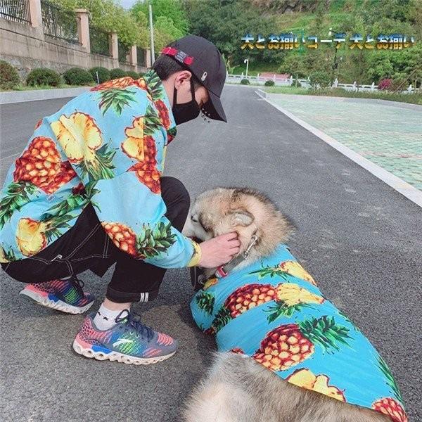 犬 ペアルック アロハシャツ パイナップル柄 春夏 ハワイ風 リゾート 小型犬 中型犬 大型犬 ペットとお揃い 飼い主 親子お揃い 犬 服 犬 猫とオーナーお揃い cw39 Chocooto 通販 Yahoo ショッピング