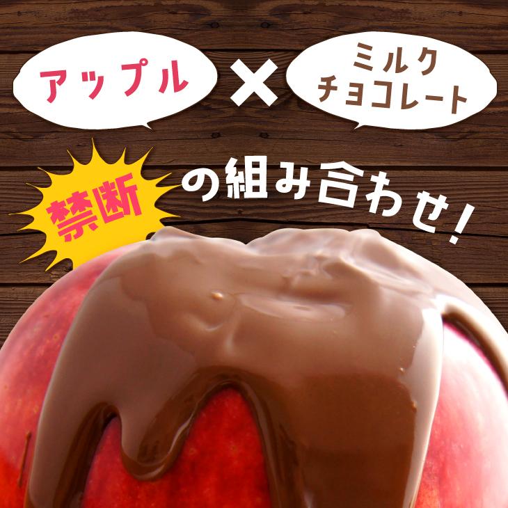 アップルチョコレート ミルク 500g りんご フルーツチョコ 業務用 Ap 5 チョコレート工房 チョコル 通販 Yahoo ショッピング