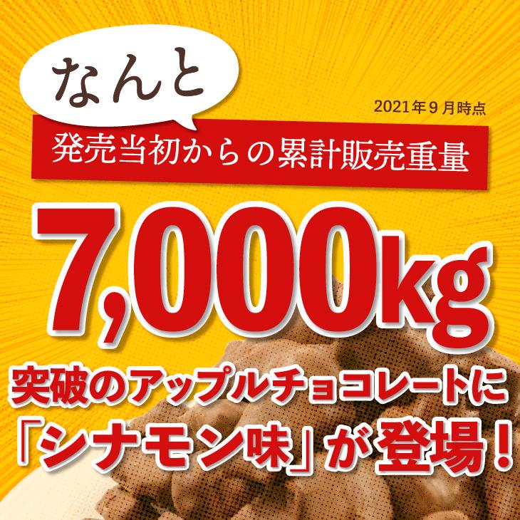Sale アップルチョコレート シナモン 500g りんご フルーツチョコ 業務用 Ap C5 チョコレート工房 チョコル 通販 Yahoo ショッピング