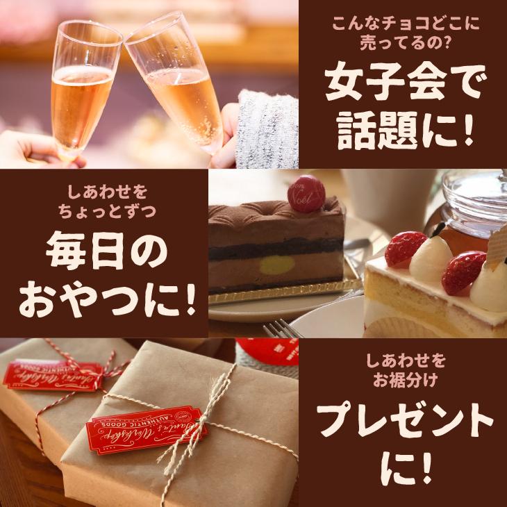 フィンガーチョコレート 500g チョコ ビスケット 個包装 大容量 業務用 お得 バラマキ 母の日｜chocoru｜10