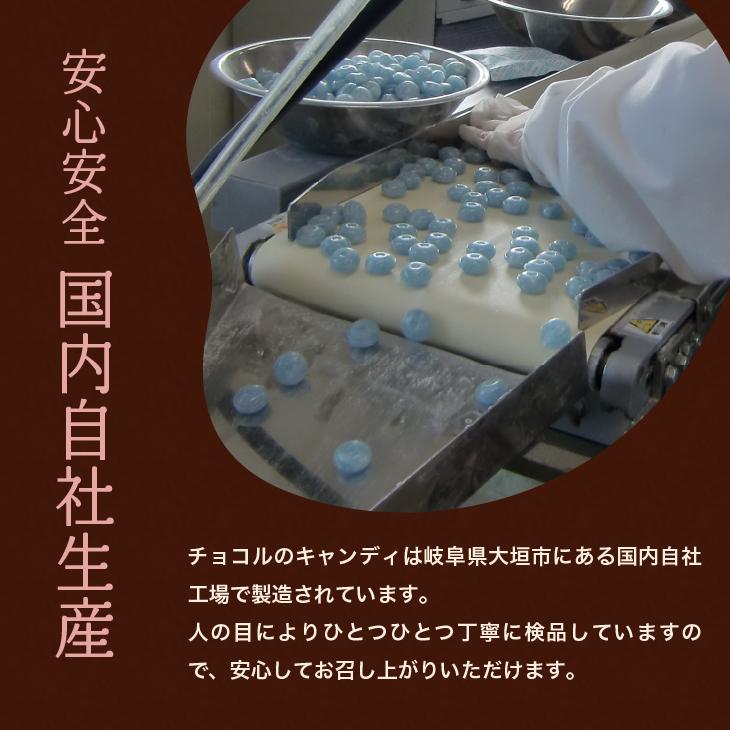 ミックス キャンディ 1kg 飴 キャラメル アソート 業務用 大袋 大容量 個包装 父の日｜chocoru｜10