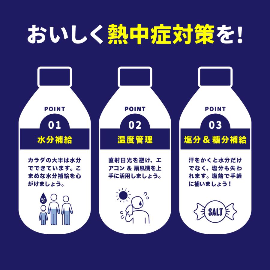 【SALE】塩飴 業務用 1kg エナジードリンク味 塩分補給 熱中症対策 | 栄光堂 | 02