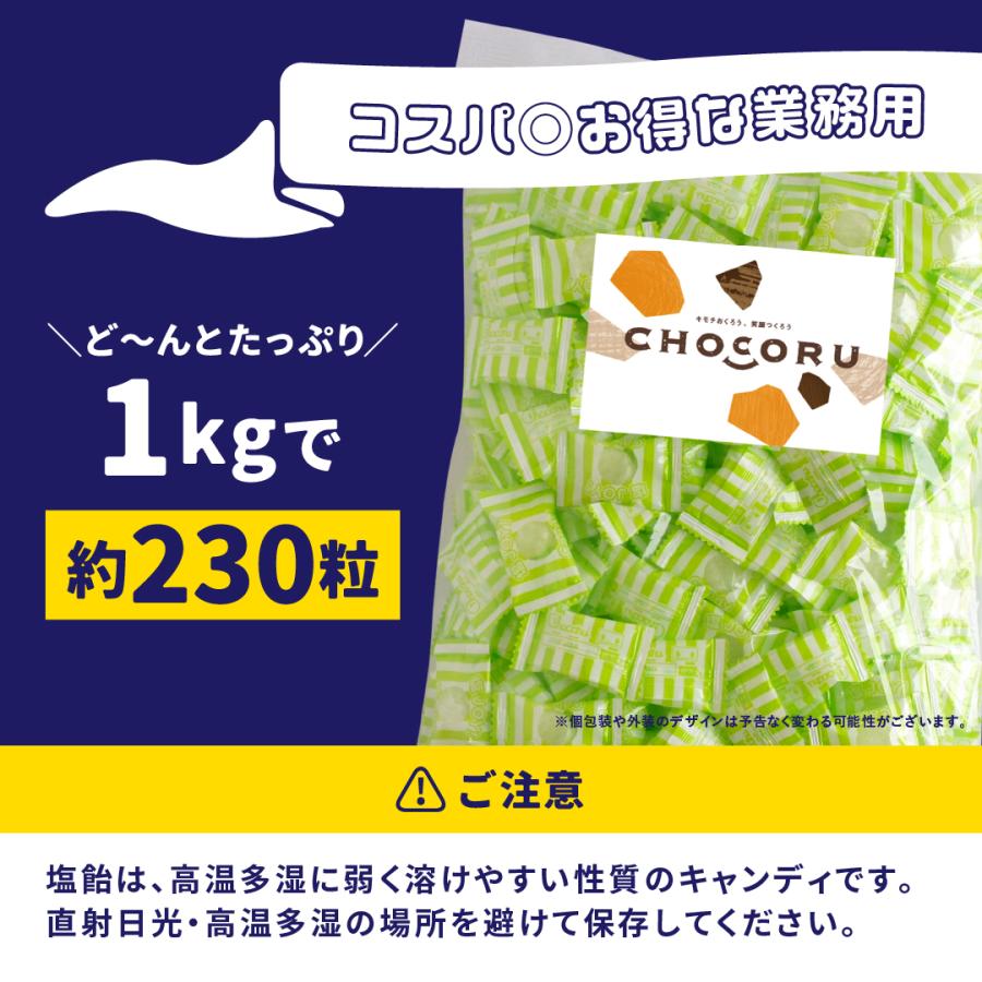 【SALE】塩飴 業務用 1kg エナジードリンク味 塩分補給 熱中症対策 | 栄光堂 | 05
