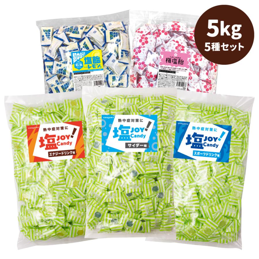 送料無料 塩飴 5種セット 5kg 業務用 塩分補給 熱中症対策（Yahoo!・チョコレート工房 チョコル）